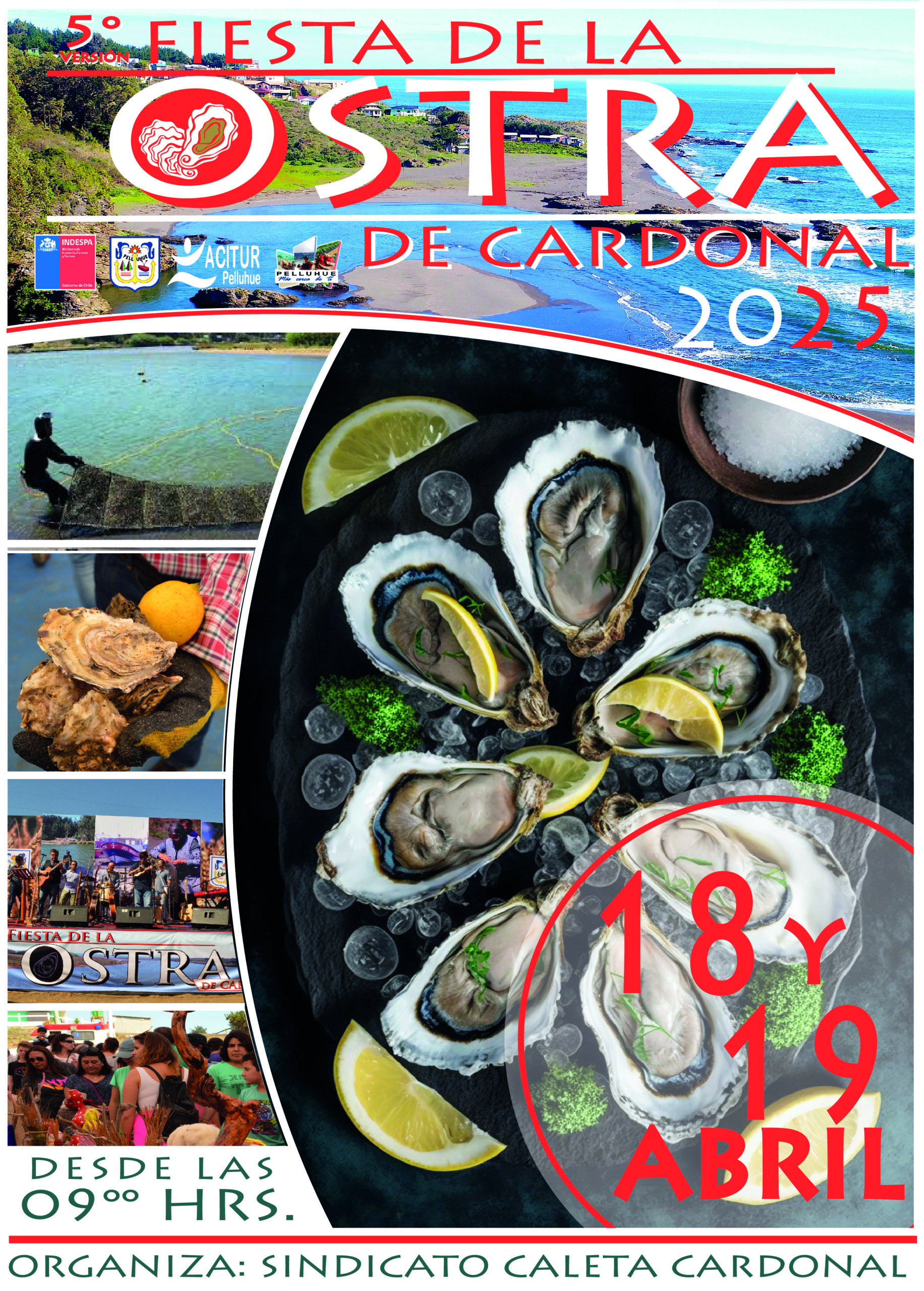 Fiesta de la Ostra