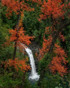 Parque Peumayen