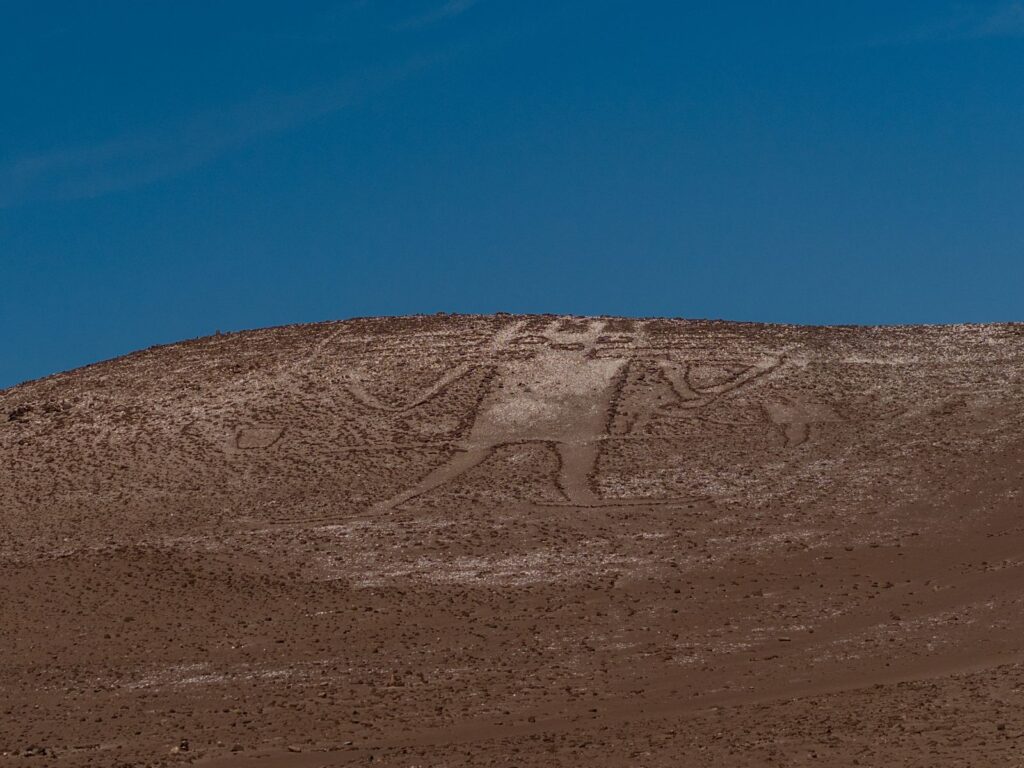 Gigante de Atacama