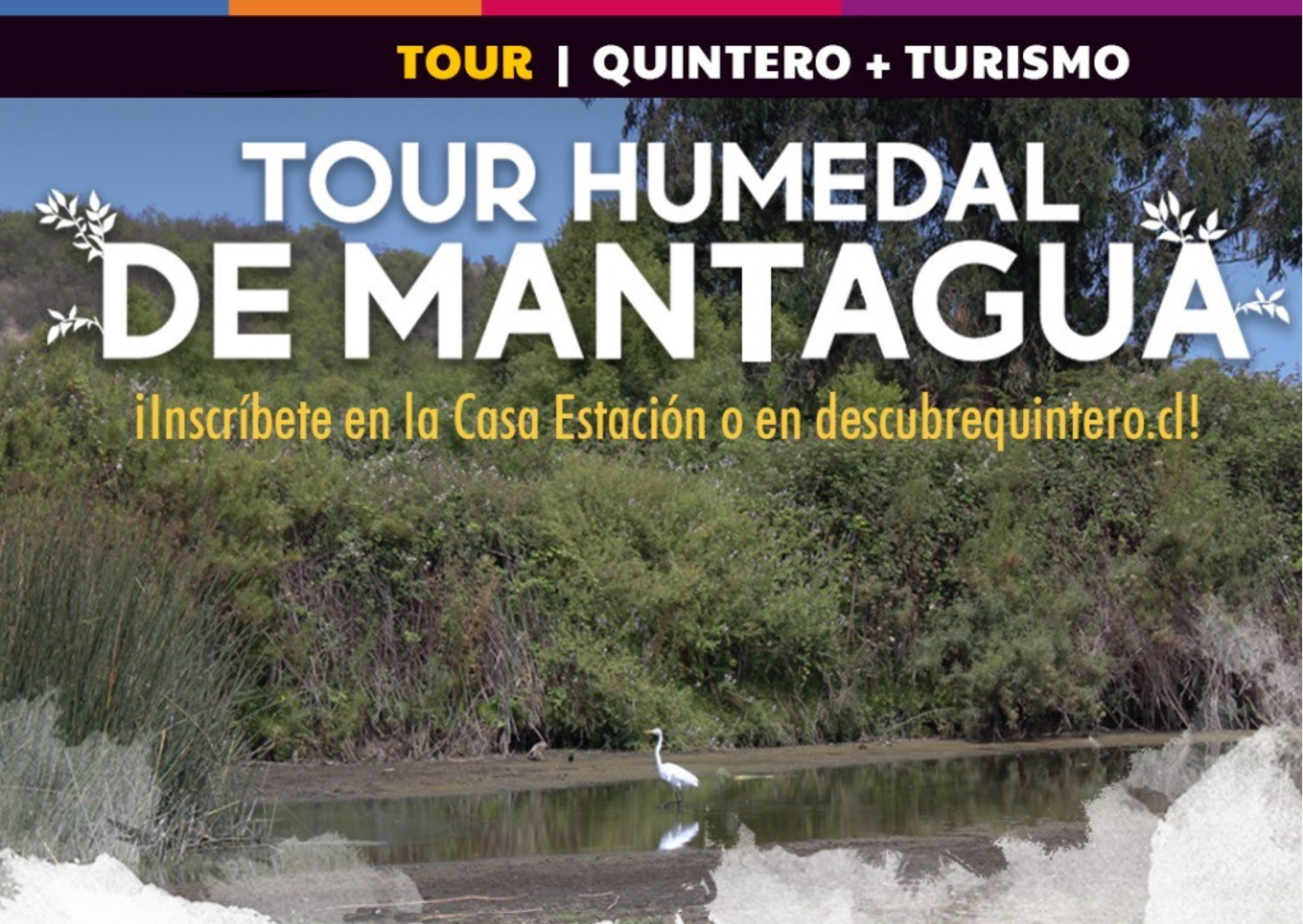 Tour gratuito por el Humedal de Mantagua