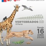 Vertebrados II Parte en el Museo de Historia Natural