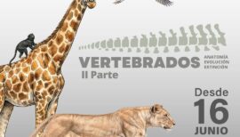 Vertebrados II Parte en el Museo de Historia Natural