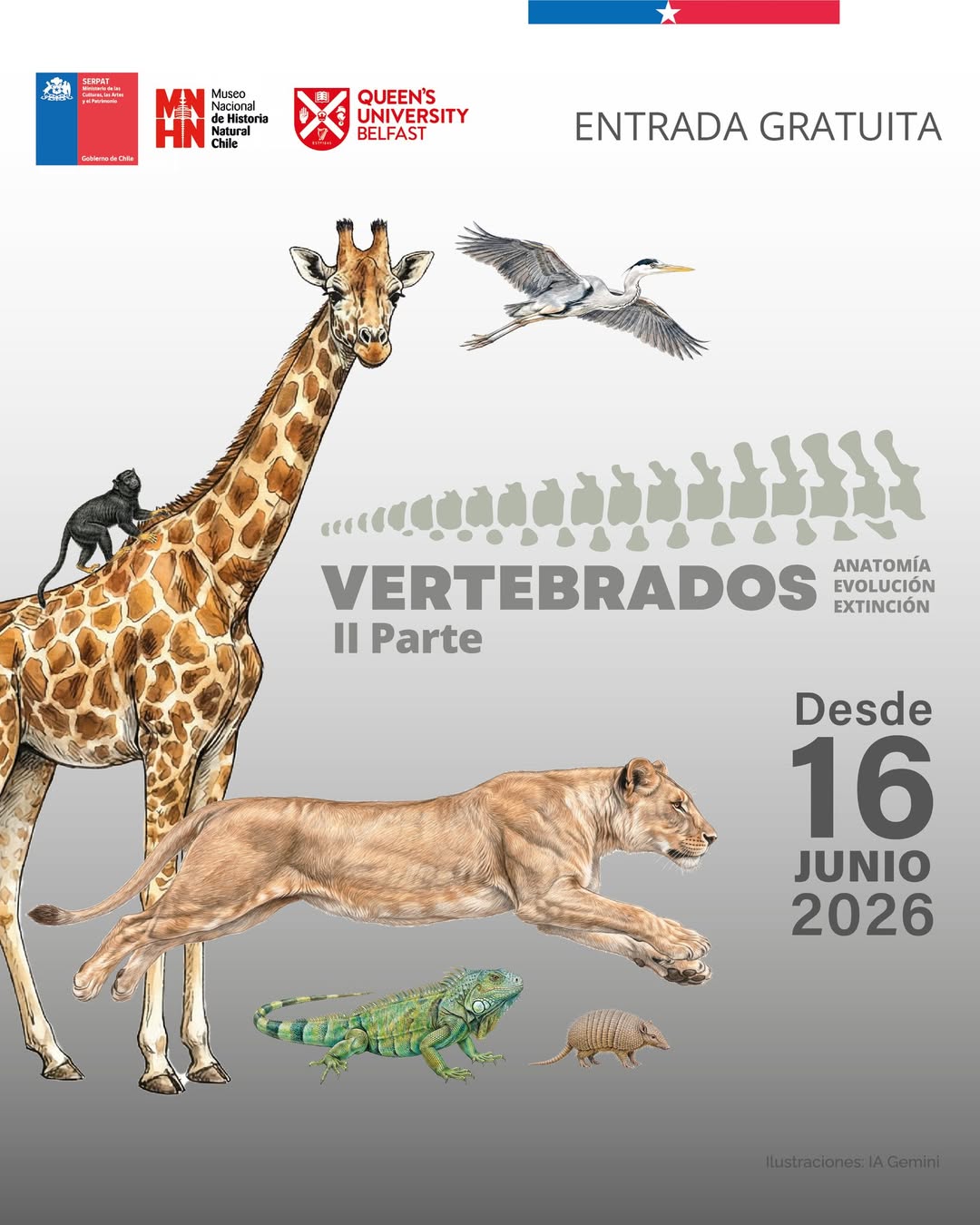 Afiche promocionando la exposición Vertebrados en el Museo de Historia Natural, panorama gratuito de las vacaciones de invierno 2026 en Santiago.