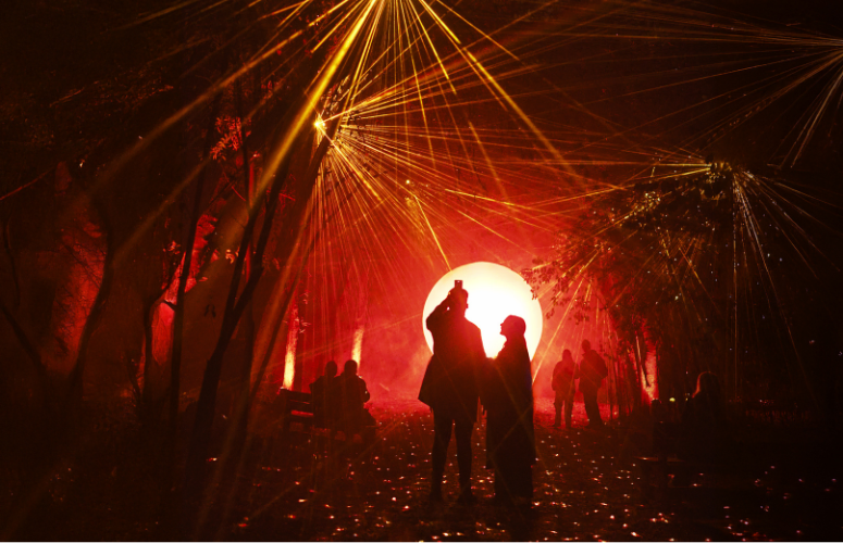 Light Cycles