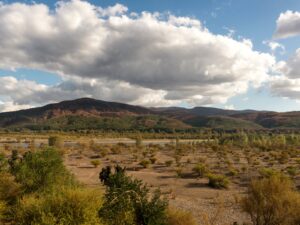 Ramal Talca Constitución