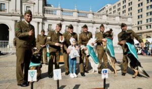 Día Patrimonios actividades Moneda