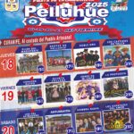 Fiesta de la Chilenidad de Pelluhue