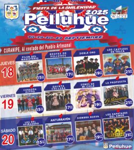 Fiesta Chilenidad Pelluhue