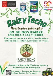 feria costumbrista Curepto