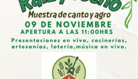 Feria Costumbrista “Raíz y Techo” en Curepto