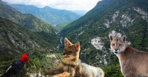Parque Cuenca Andina