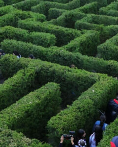 panoramas Halloween 2025