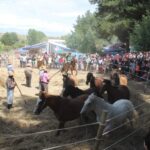 Fiesta de la Chupalla y Trilla a Yegua Suelta en Ninhue