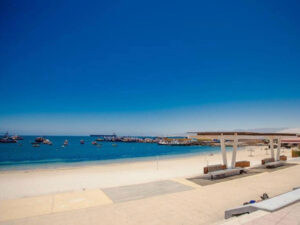 fuegos artificiales año nuevo