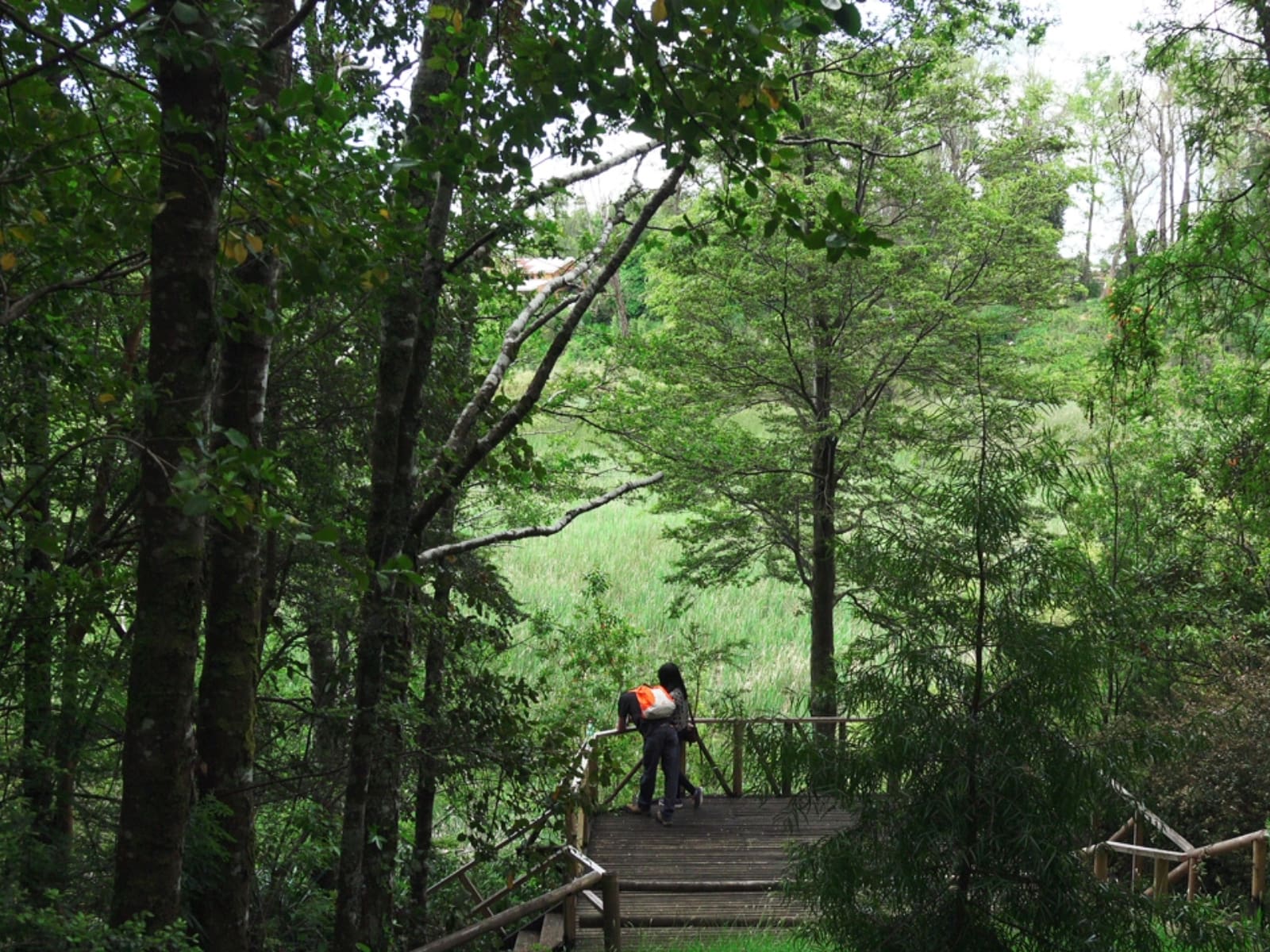 mejores trekking 2026