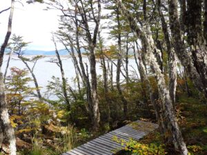 Los mejores lugares para acampar y disfrutar al aire libre este 2026