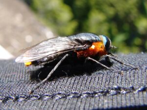 Fotografía principal: Sergio Bitran M