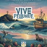Festival Vive Pelluhue