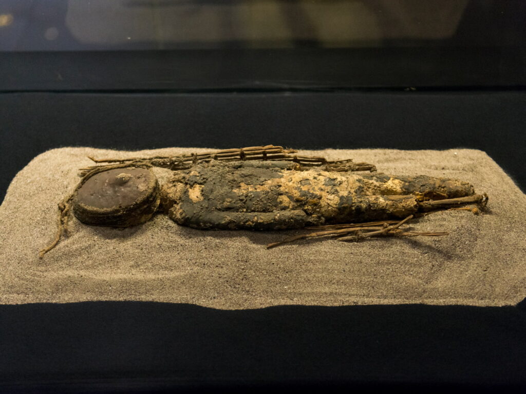 panoramas vacaciones verano