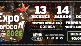 Expo Gorbea 2026