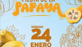 Fiesta de la Papaya en Vichuquén