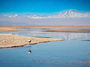 lagunas desierto