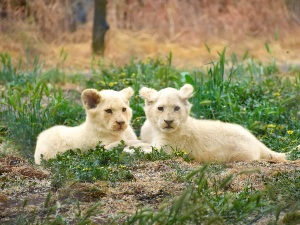 panoramas vacaciones verano