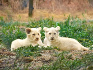 panoramas vacaciones verano