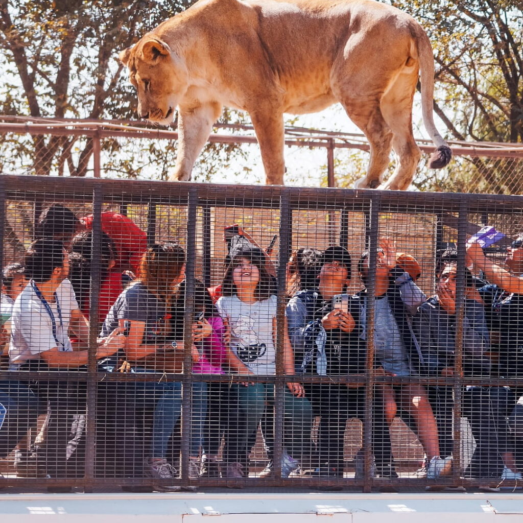 panoramas vacaciones verano