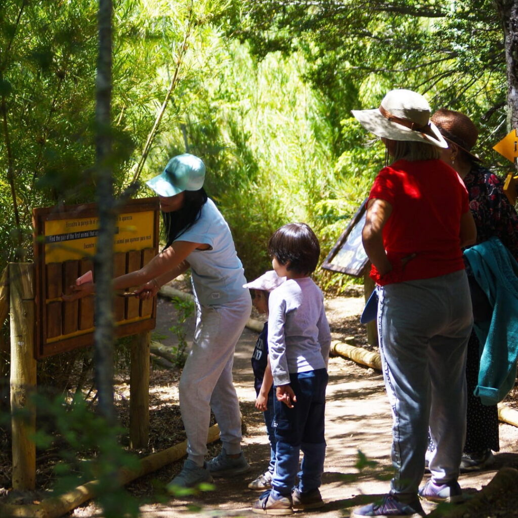 verano Valle Las Trancas
