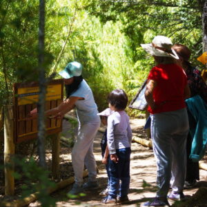 verano Valle Las Trancas
