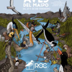 Festival de Aves del Maipo tendrá actividades gratuitas en las regiones Metropolitana y de Valparaíso 