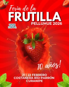 Frutilla en Pelluhue