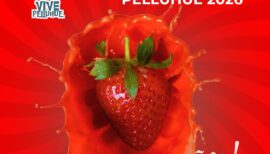 10° Feria de la Frutilla en Pelluhue