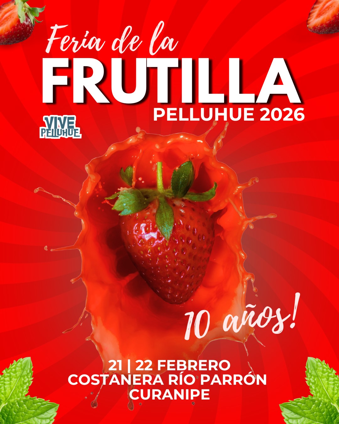 Frutilla en Pelluhue