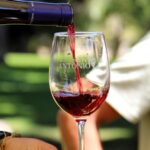 Vendimia de San Antonio 2026