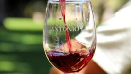 Vendimia de San Antonio 2026