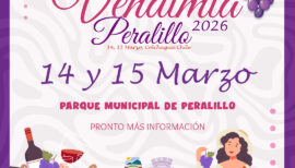 Vendimia de Peralillo 2026