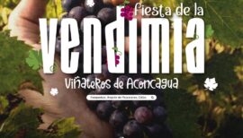 Vendimia Viñateros del Aconcagua 2026