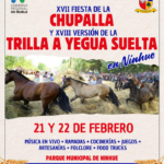 XVII Fiesta de la Chupalla y Trilla a Yegua Suelta en Ninhue