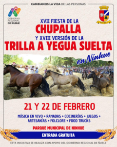Chupalla en Ninhue