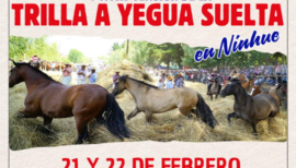 XVII Fiesta de la Chupalla y Trilla a Yegua Suelta en Ninhue