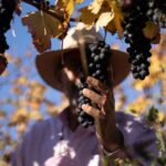 Cumbre Atacama VID 2026