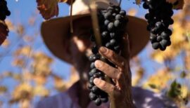 Cumbre Atacama VID 2026