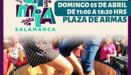 Vendimia de Salamanca 2026