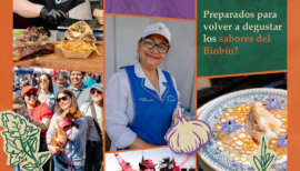 Festival Conce al Plato 2026