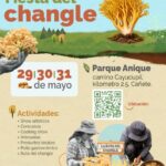Fiesta del Changle en Cañete