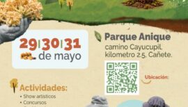 Fiesta del Changle en Cañete