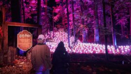 Harry Potter: La Experiencia del Bosque Prohibido