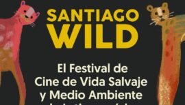 Santiago Wild 2026